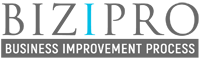 Bizipro - Business Process Improvement - Business Excellence