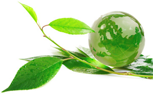 ISO 14001 - Environment Management System - EMS